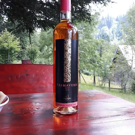 Vikendica Teodora Дом отдыха